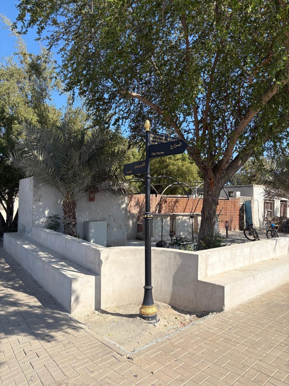 WhatsApp Image 2026-02-23 at 11.36.23 AM 11