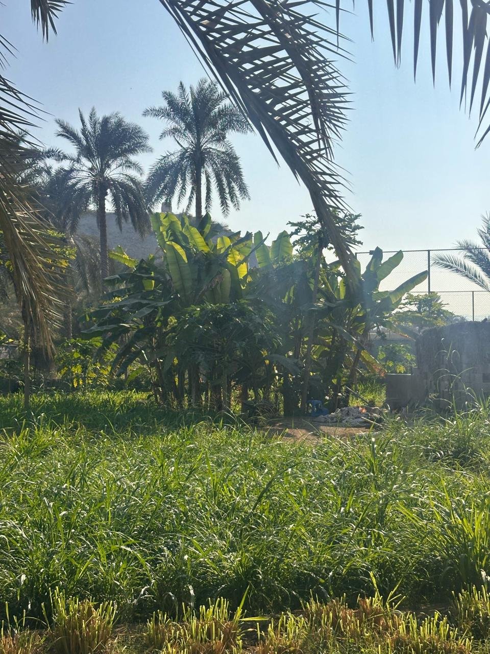 WhatsApp Image 2026-02-23 at 11.36.28 AM (1)