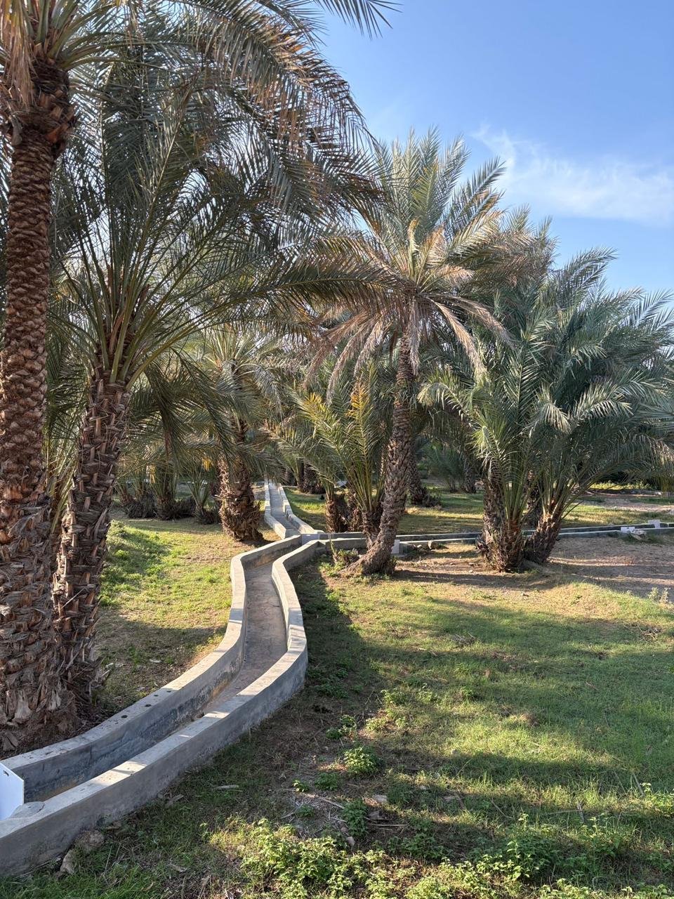 WhatsApp Image 2026-02-23 at 11.36.33 AM