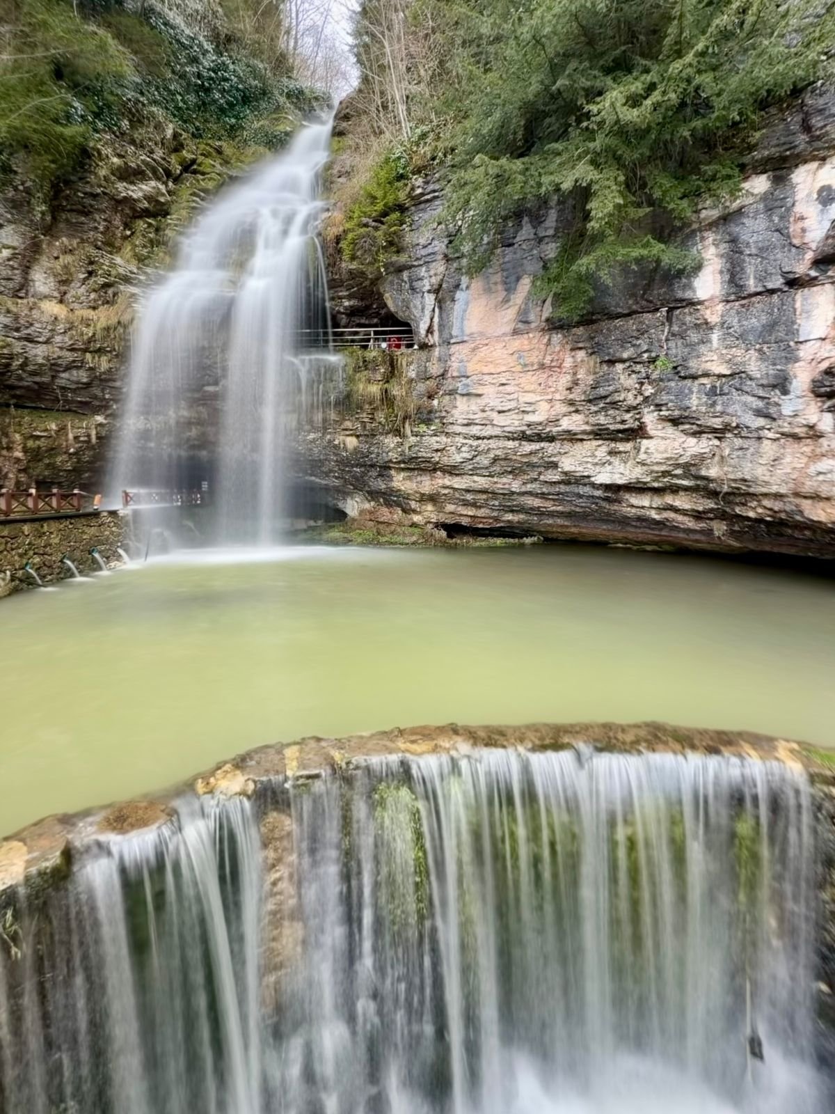 WhatsApp Image 2026-02-23 at 11.36.47 AM